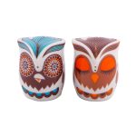 نمکدان تاپ چویس طرح جغد بسته دو عددی
