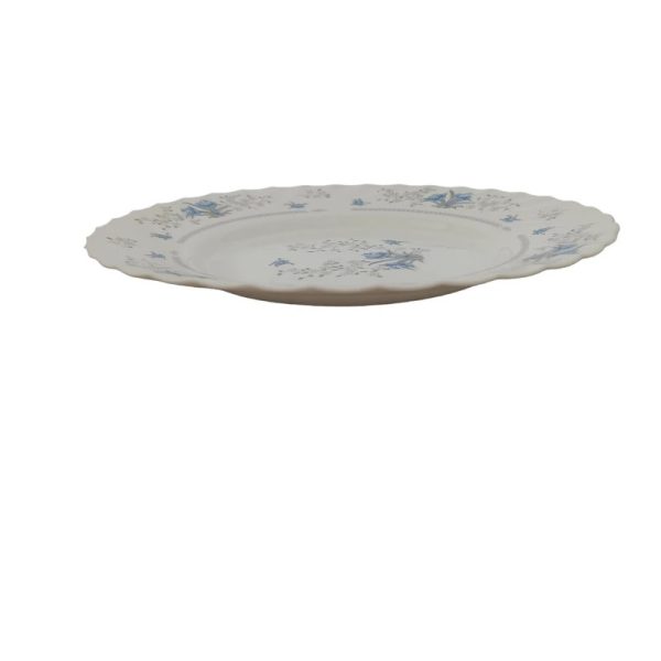 بشقاب غذا خوری پارس اپال مدل 120 بسته 6 عددی